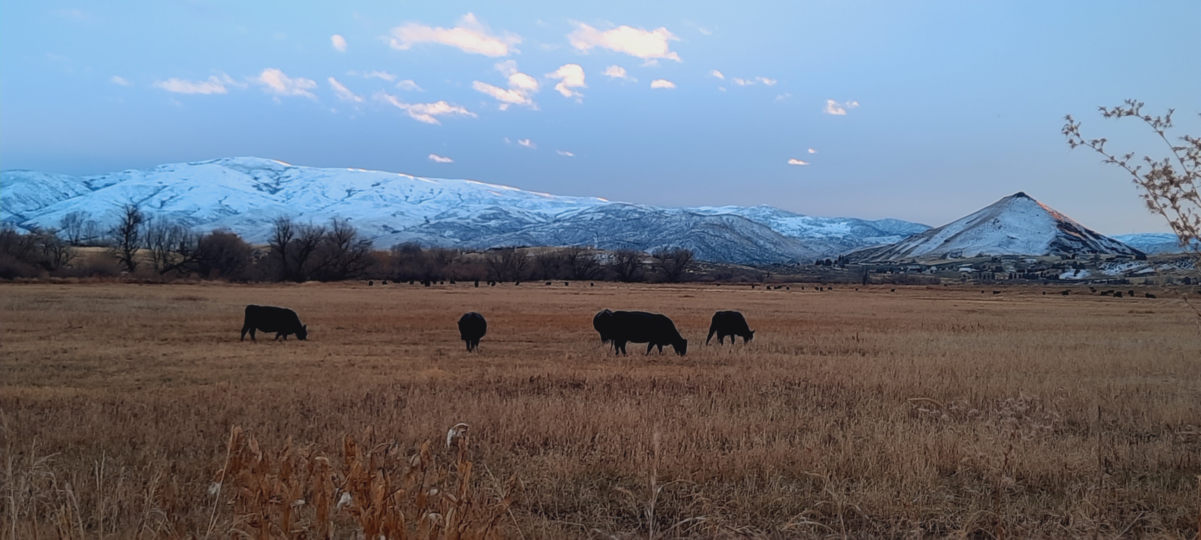 RV camping in the mountains